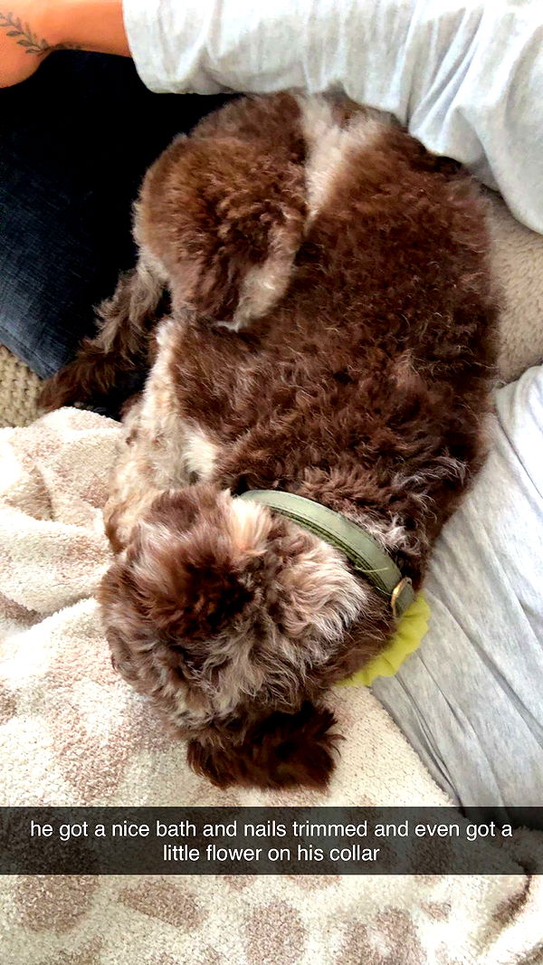 abigailwhhitee image ~ Altpins