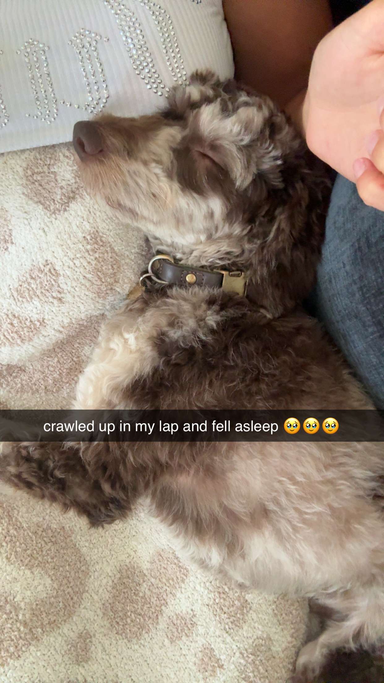 abigailwhhitee snapchat image archive image