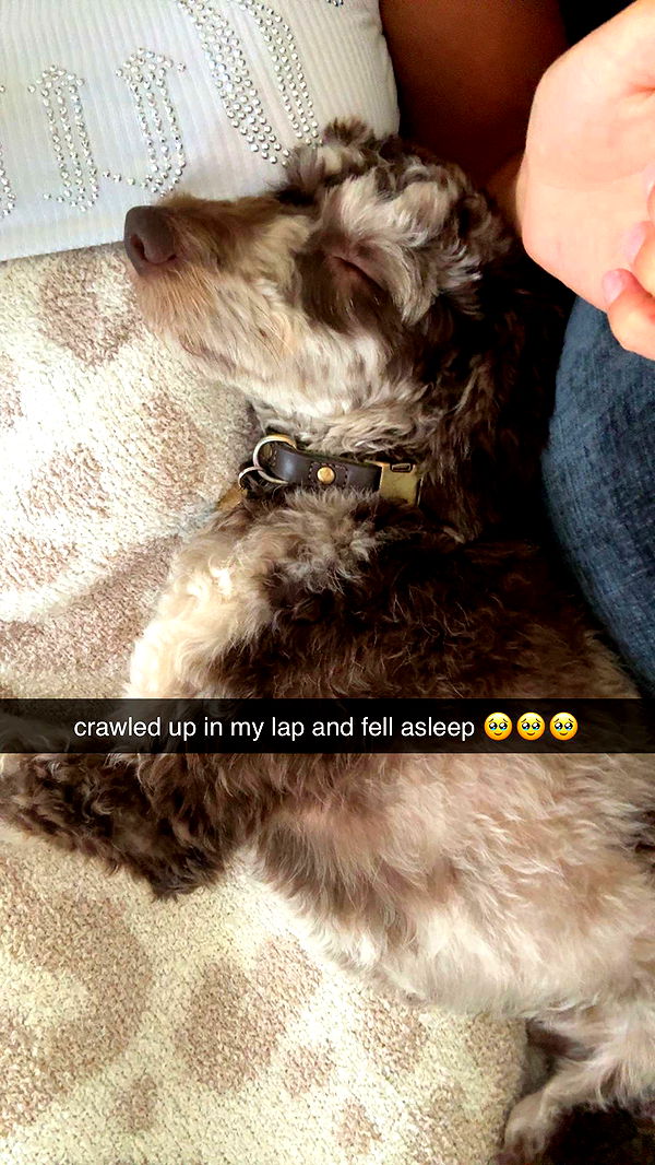 abigailwhhitee image ~ Altpins