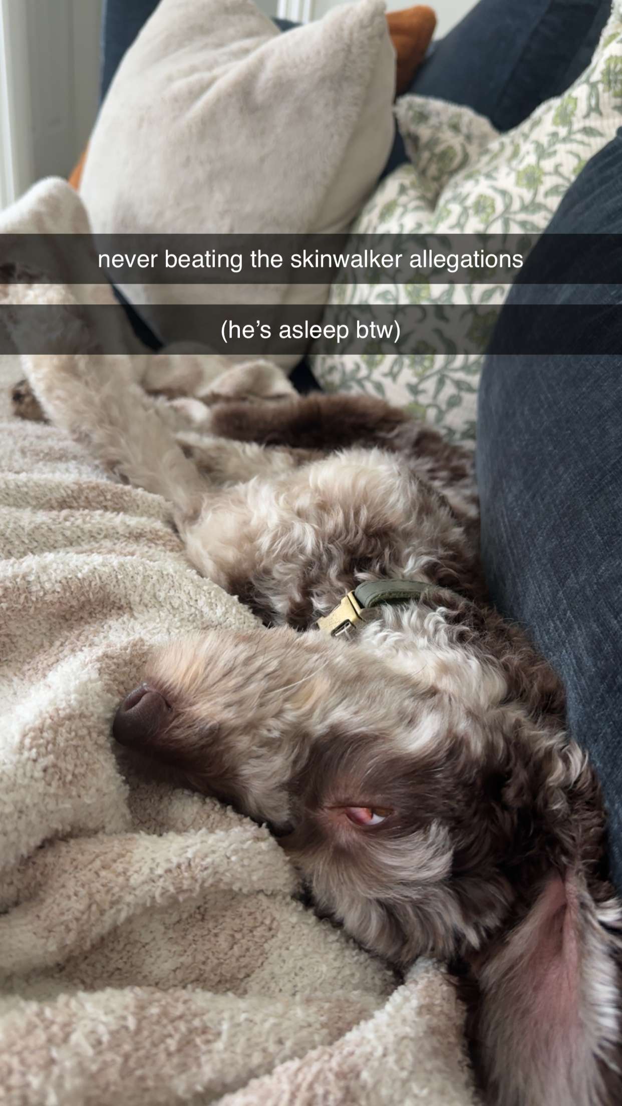 abigailwhhitee snapchat image archive image