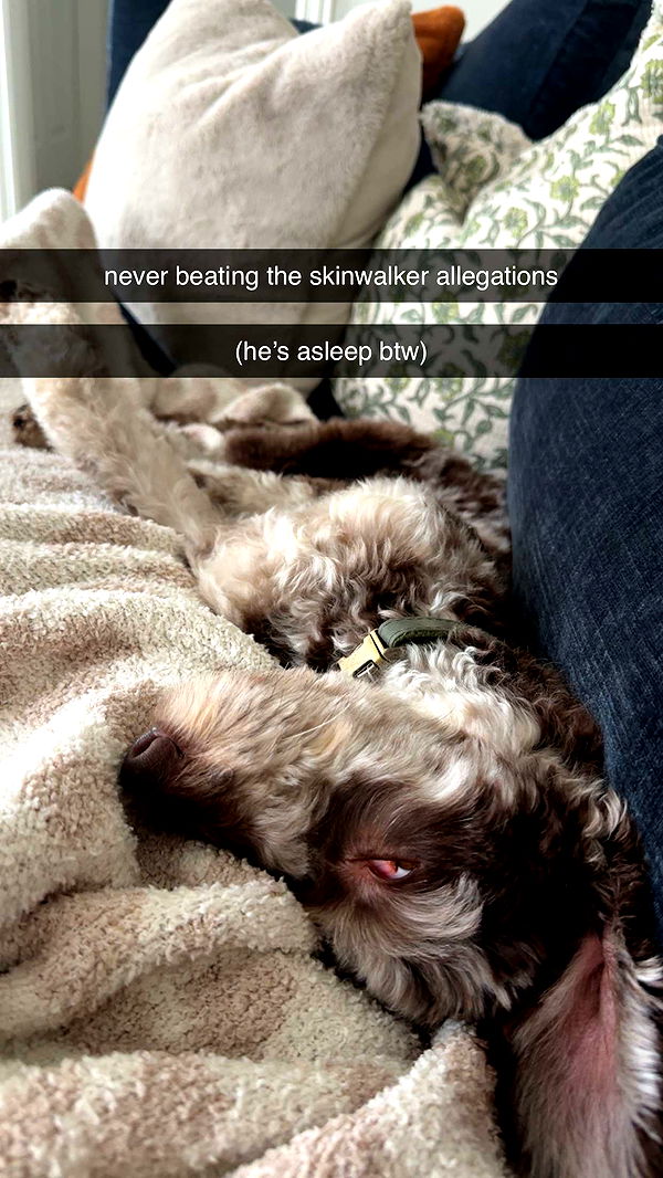 abigailwhhitee image ~ Altpins