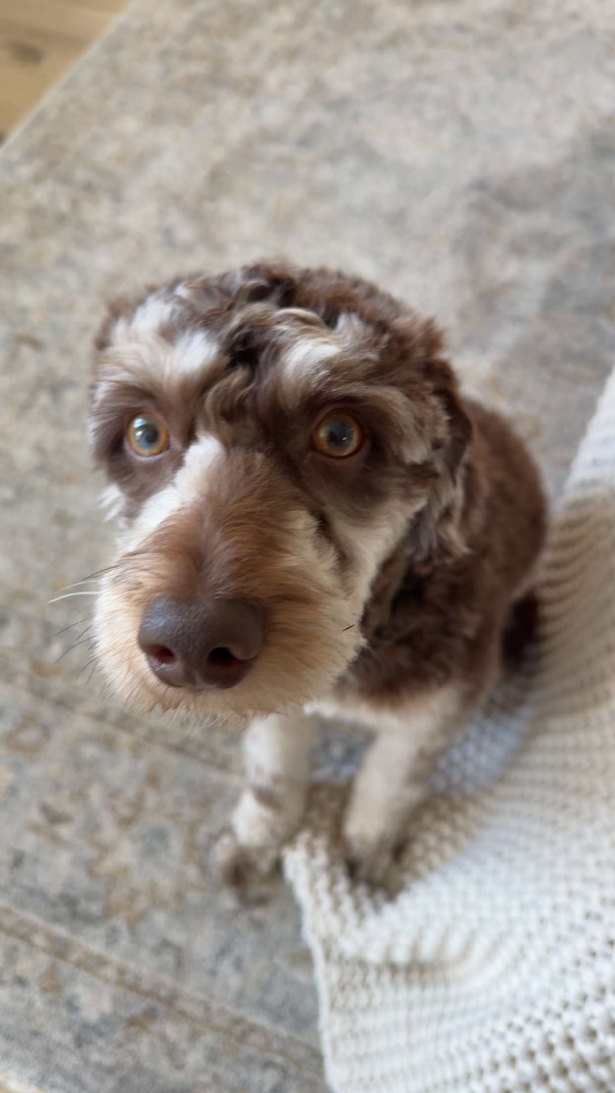 abigailwhhitee snapchat image archive image