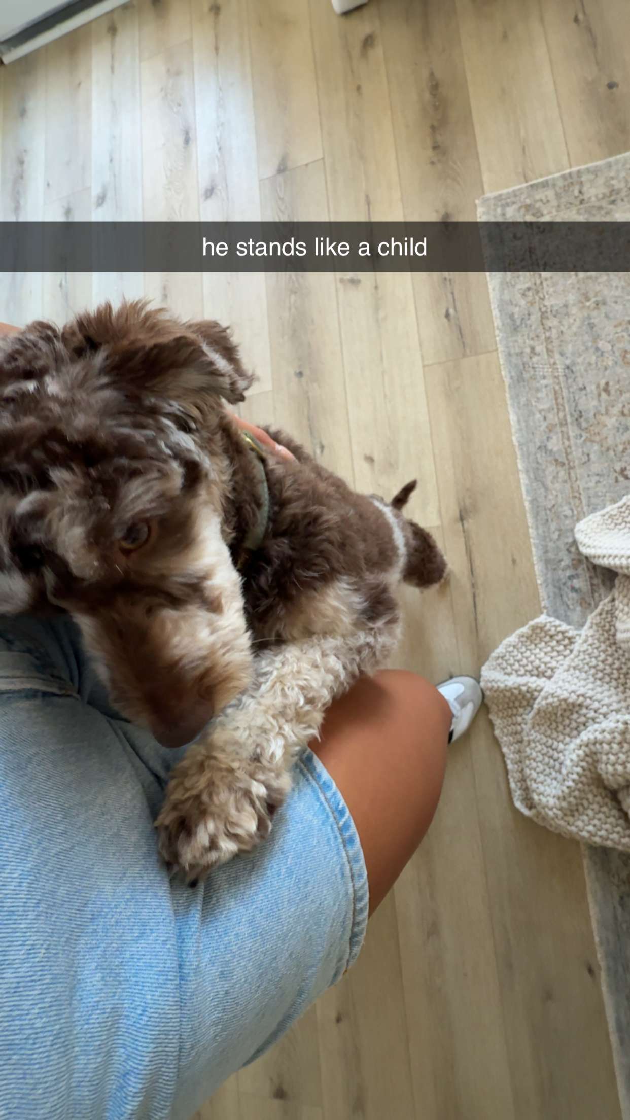 abigailwhhitee snapchat image archive image