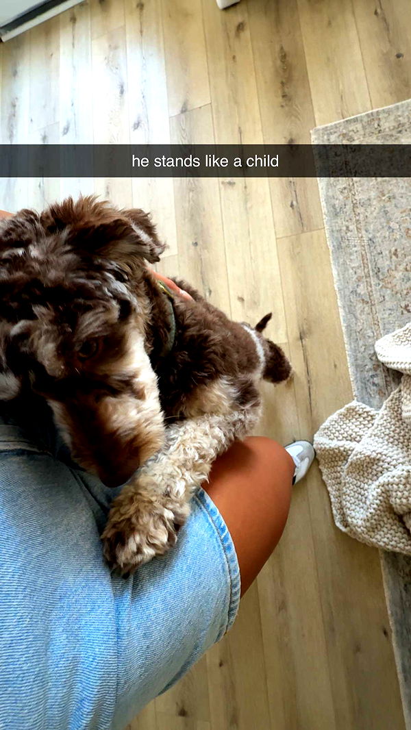 abigailwhhitee image ~ Altpins