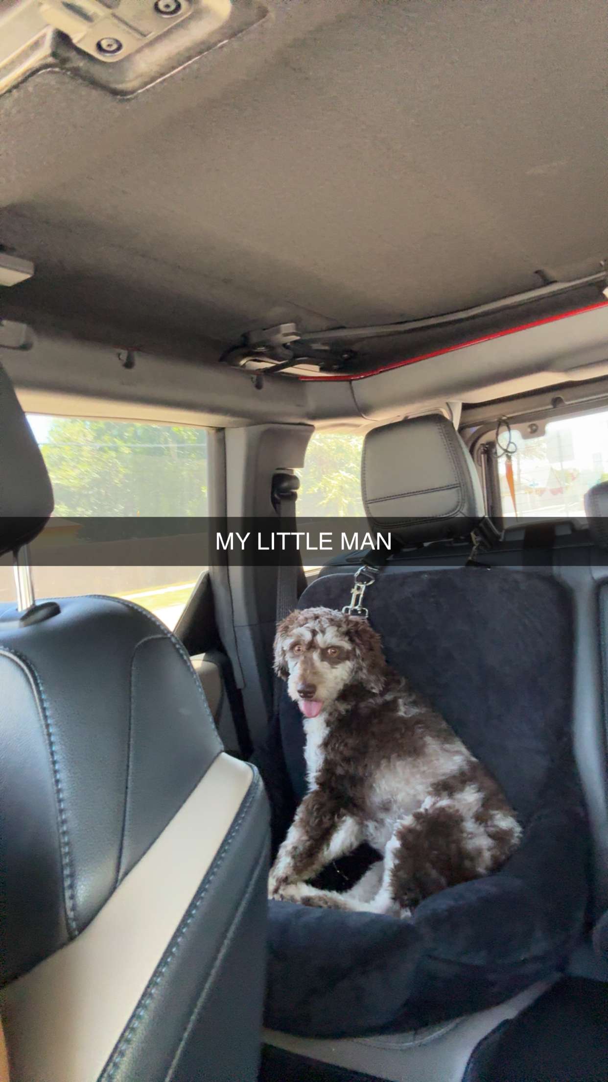 abigailwhhitee snapchat image archive image