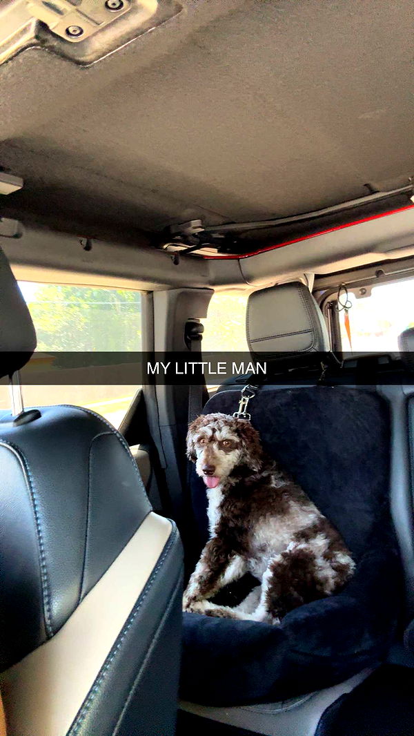 abigailwhhitee image ~ Altpins