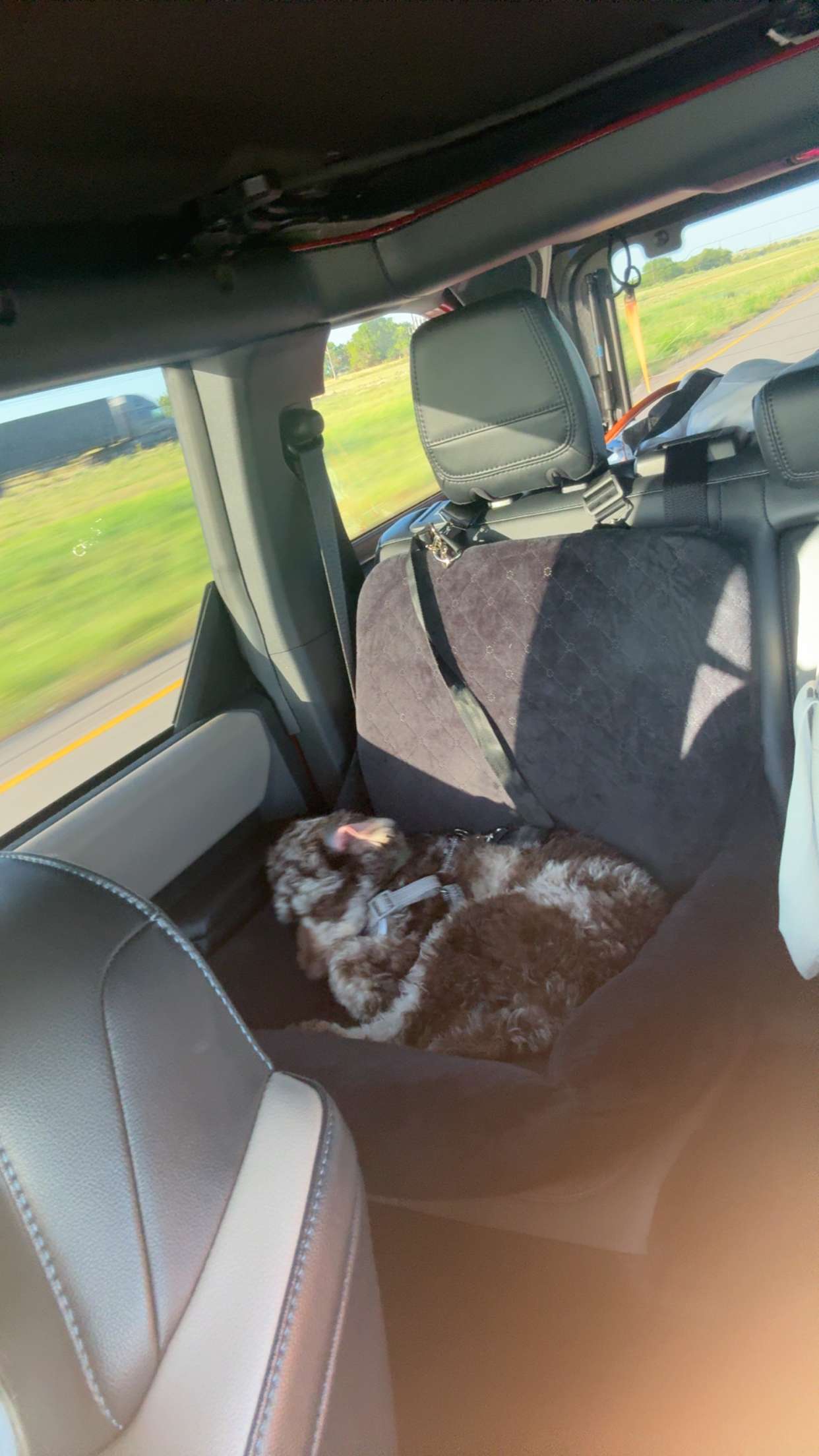 abigailwhhitee snapchat image archive image