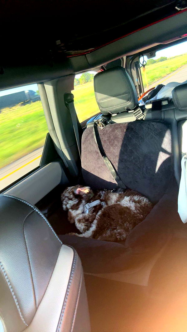 abigailwhhitee image ~ Altpins