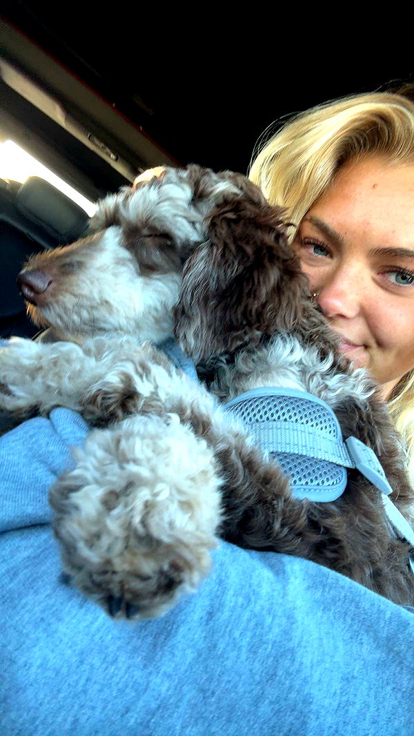 abigailwhhitee image ~ Altpins