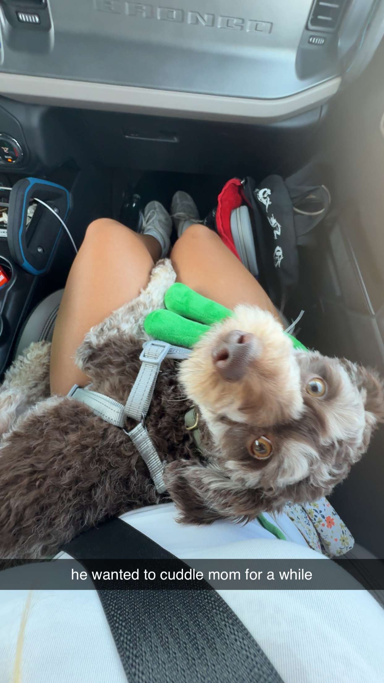 abigailwhhitee snapchat image archive image