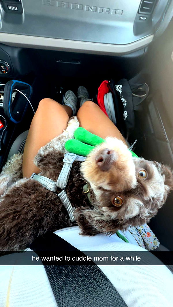 abigailwhhitee image ~ Altpins