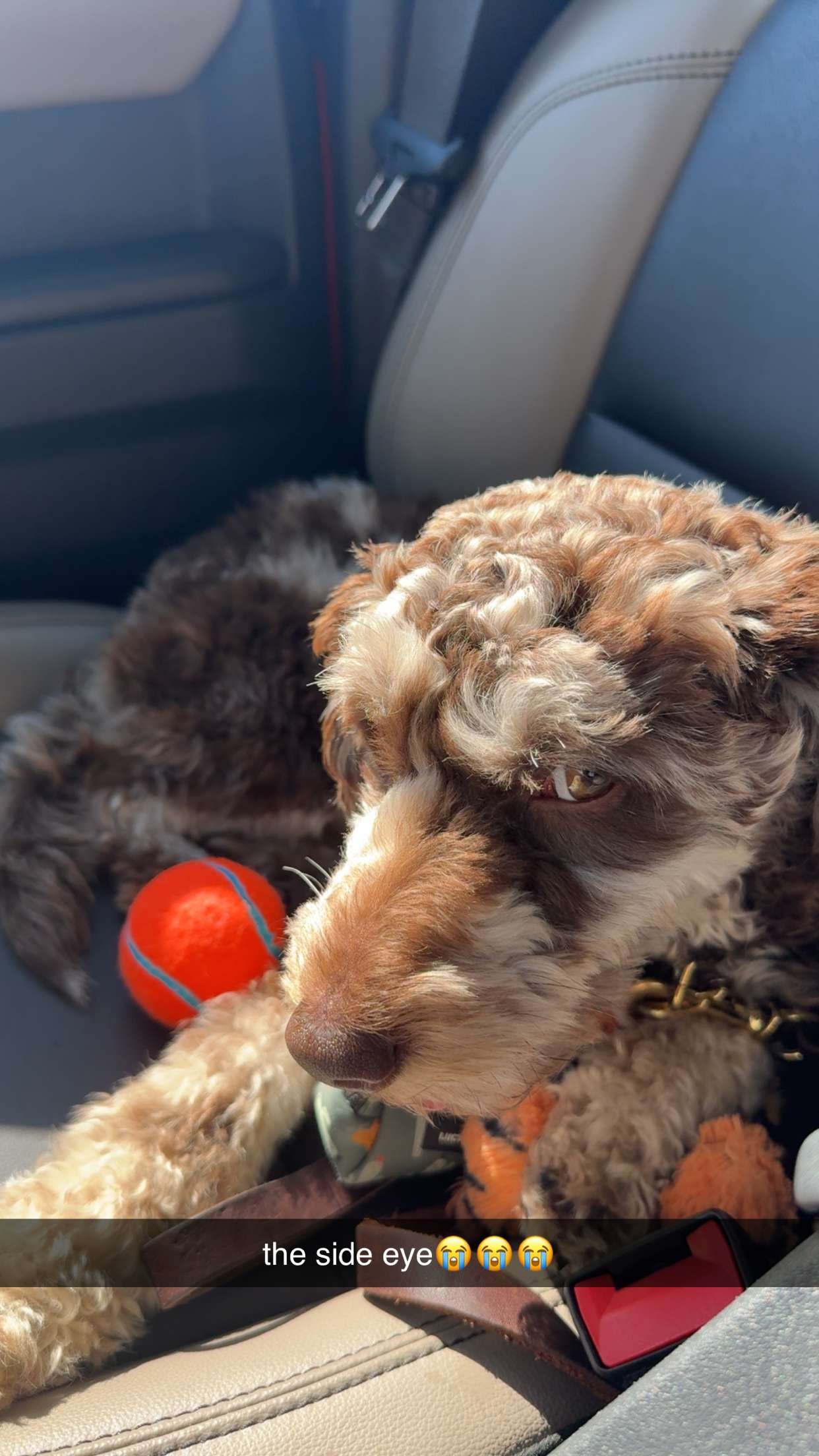 abigailwhhitee snapchat image archive image