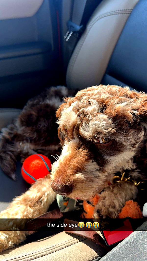 abigailwhhitee image ~ Altpins