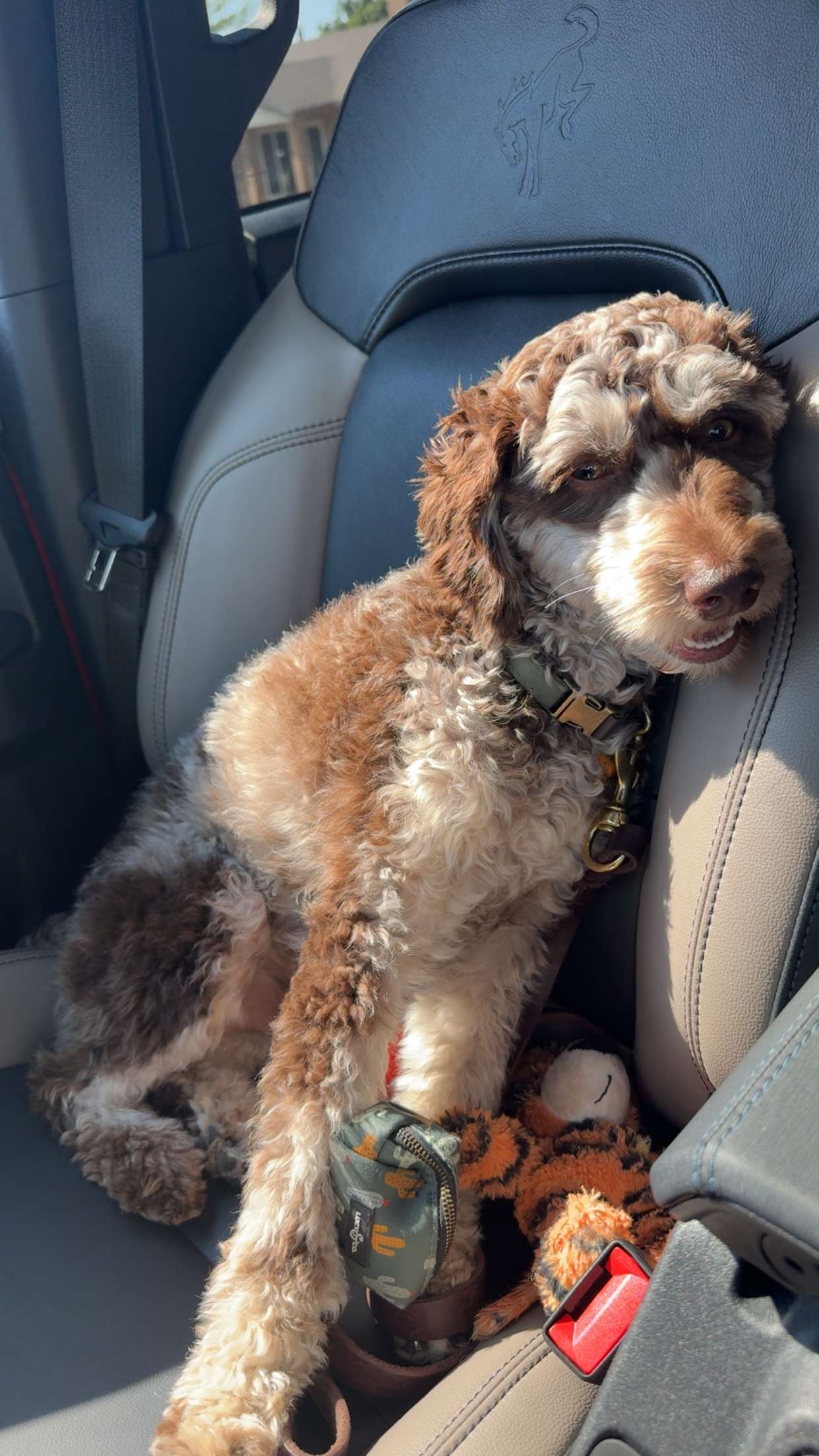 abigailwhhitee snapchat image archive image