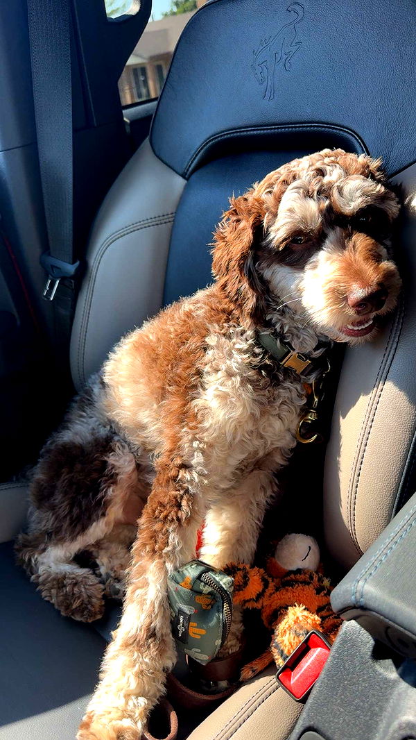 abigailwhhitee image ~ Altpins