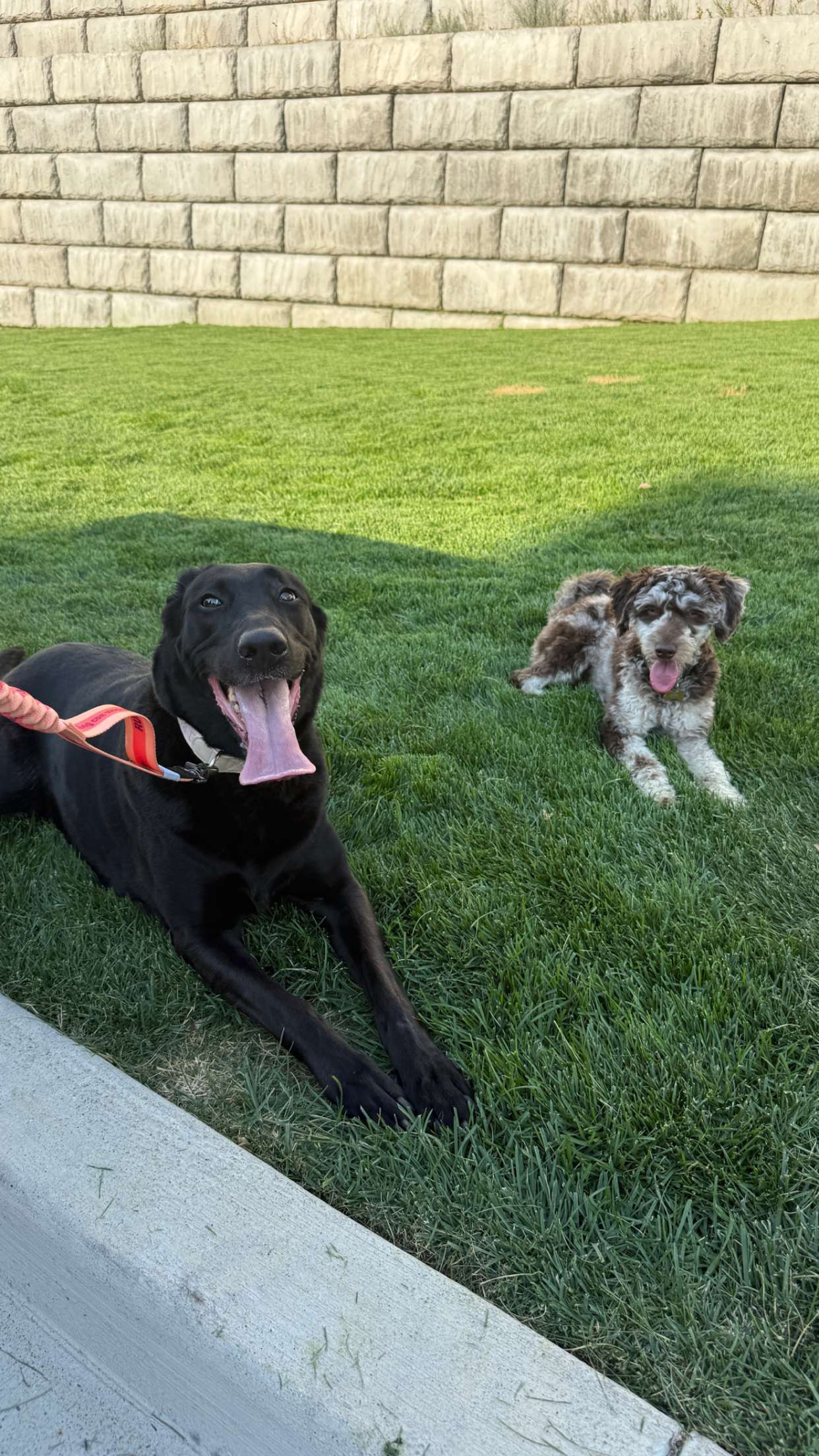 abigailwhhitee snapchat image archive image