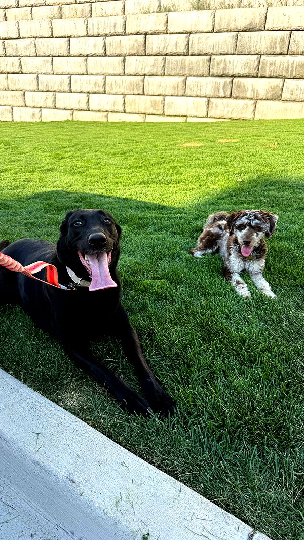 abigailwhhitee image ~ Altpins