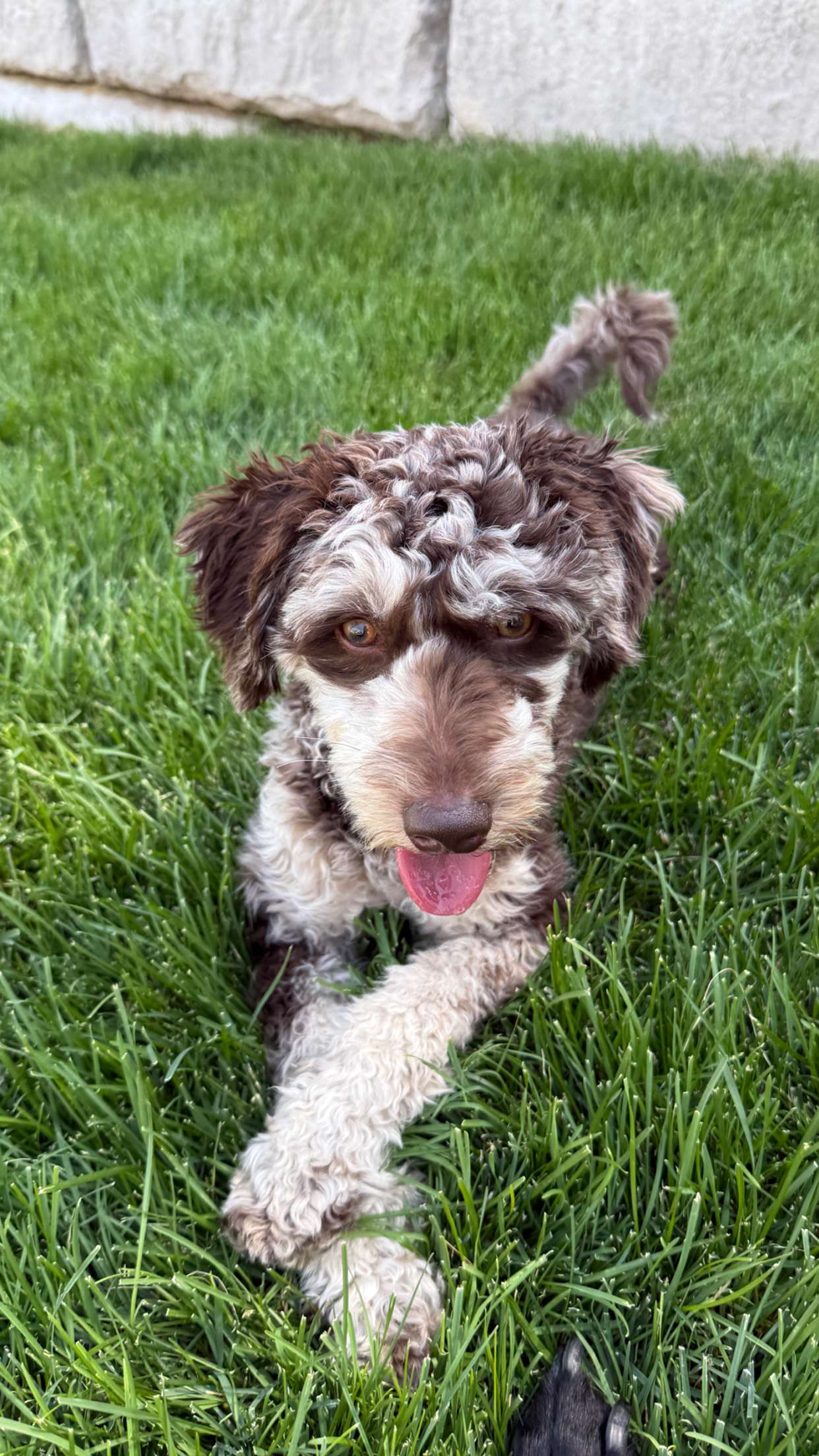 abigailwhhitee snapchat image archive image