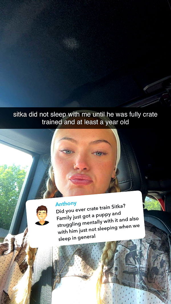 abigailwhhitee image ~ Altpins