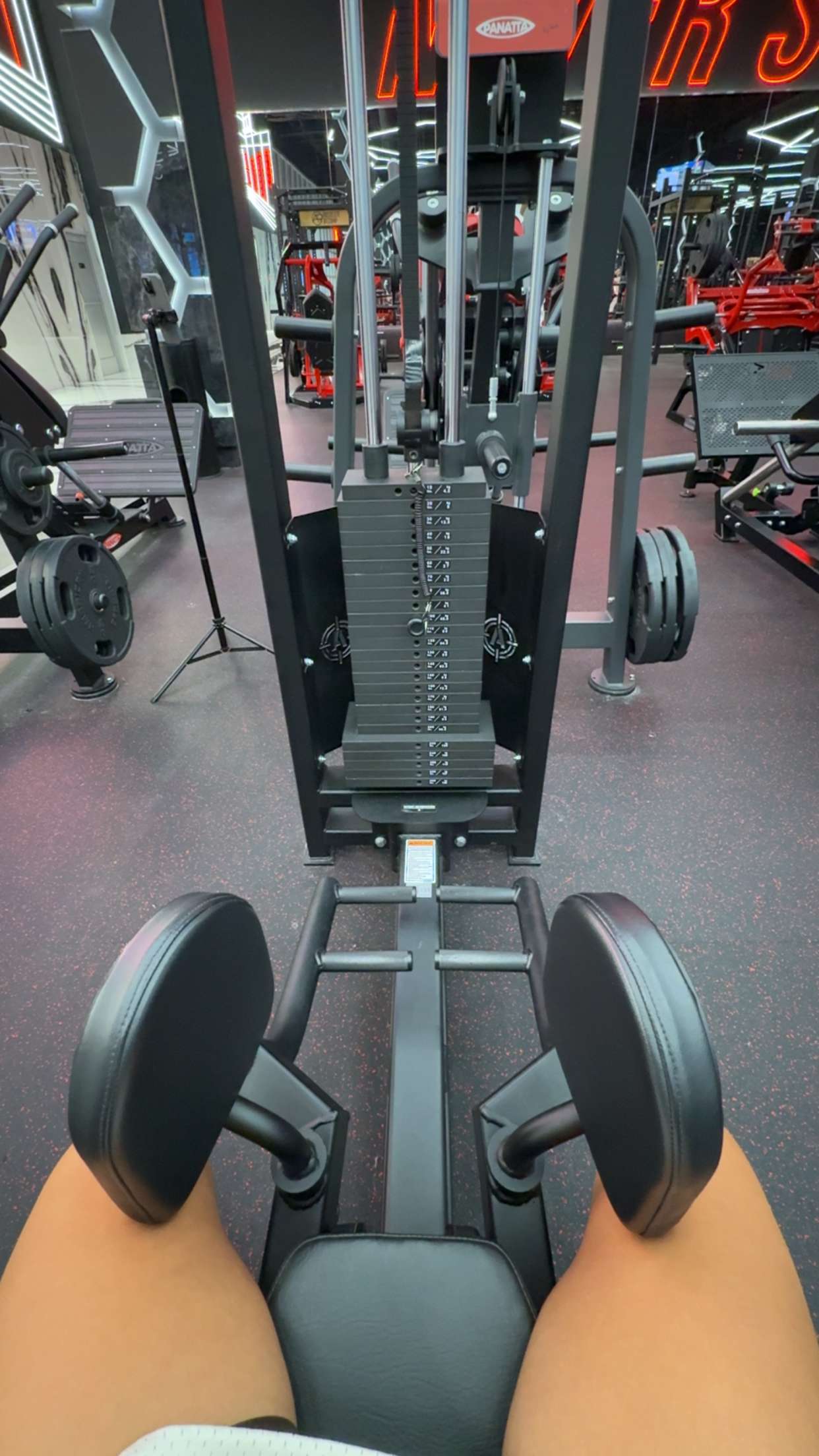 abigailwhhitee snapchat image archive image