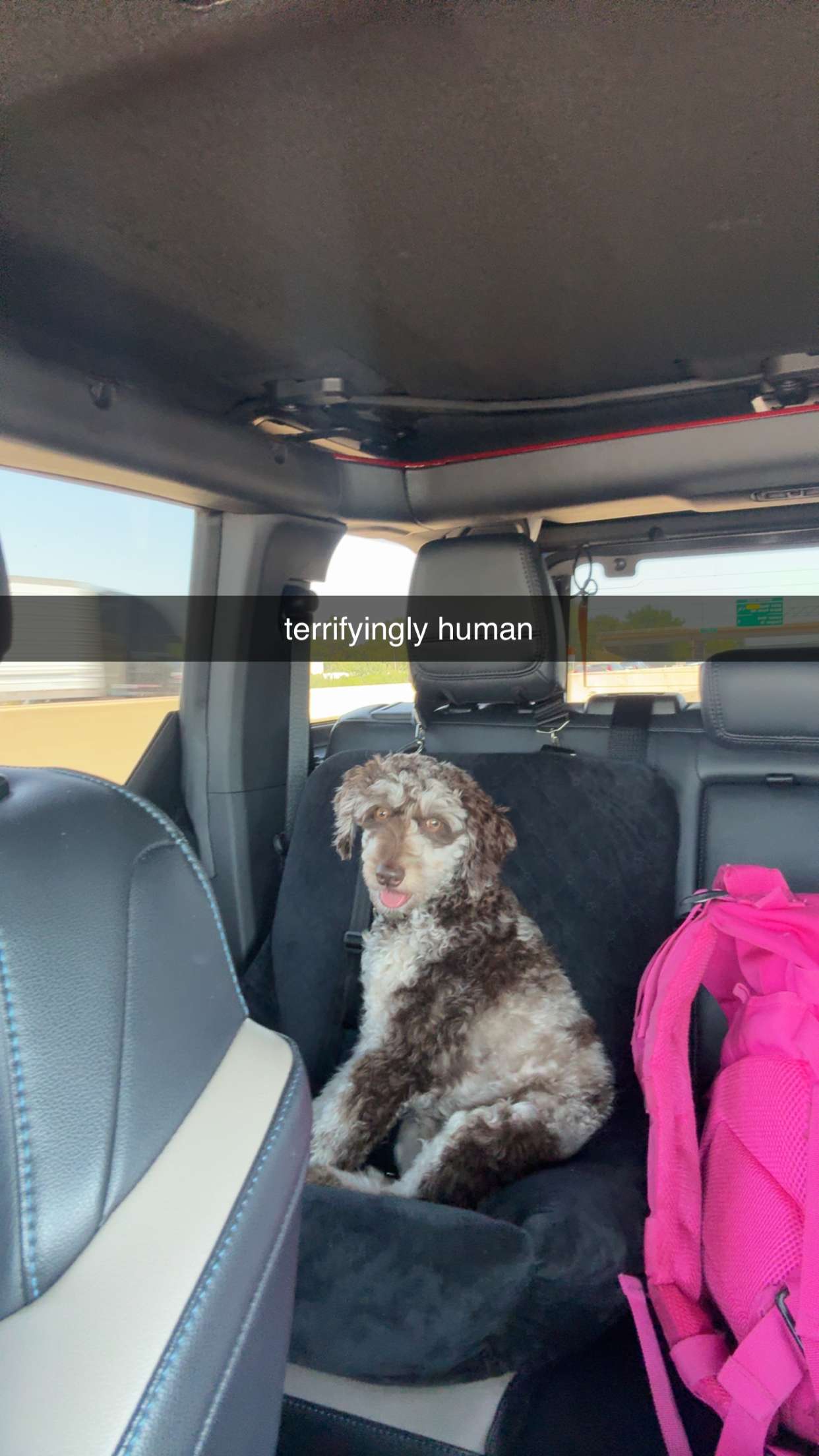 abigailwhhitee snapchat image archive image