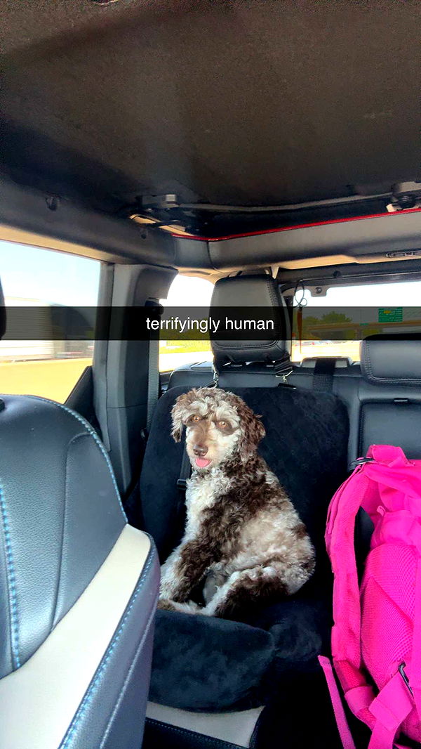 abigailwhhitee image ~ Altpins