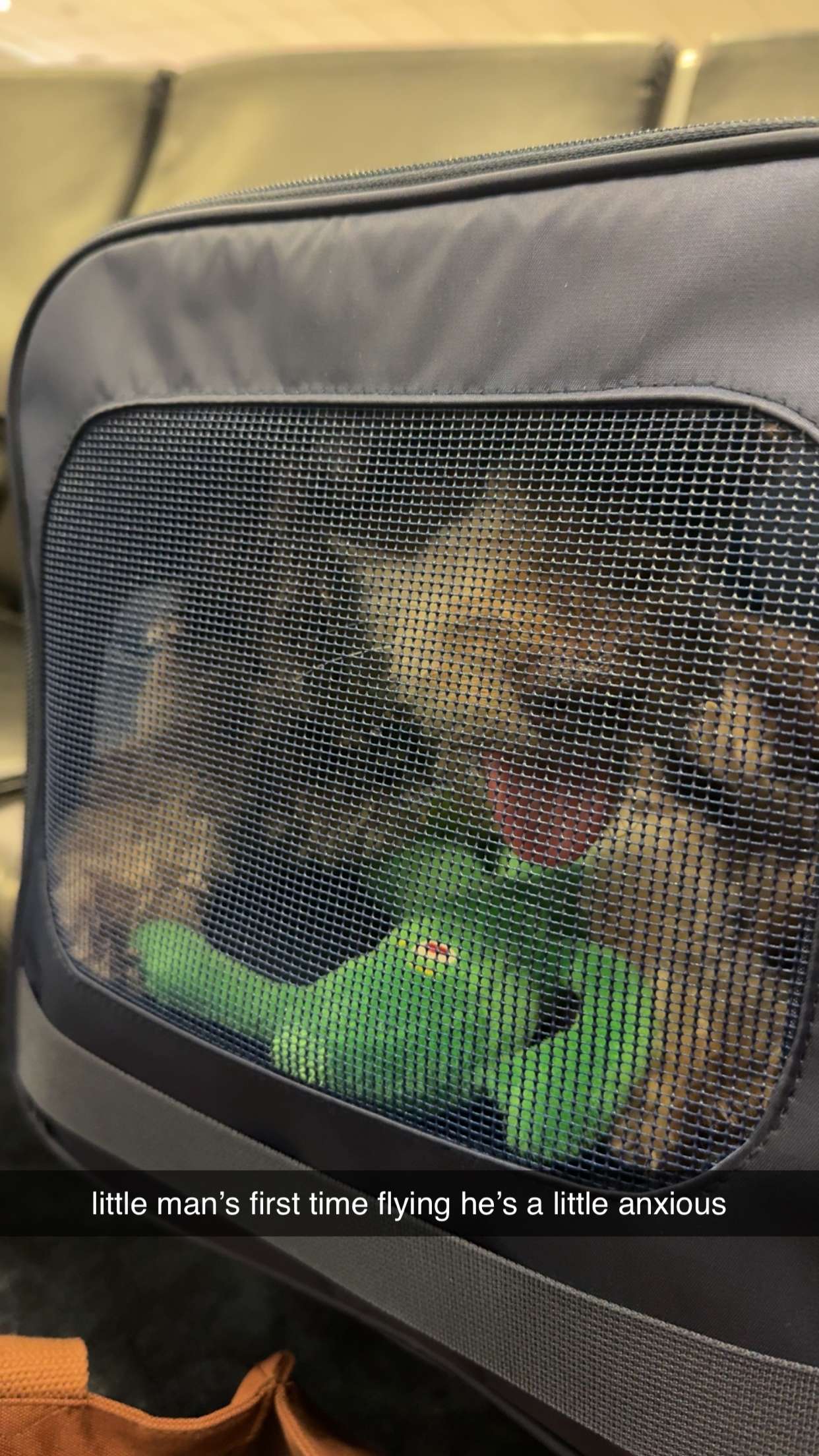 abigailwhhitee snapchat image archive image