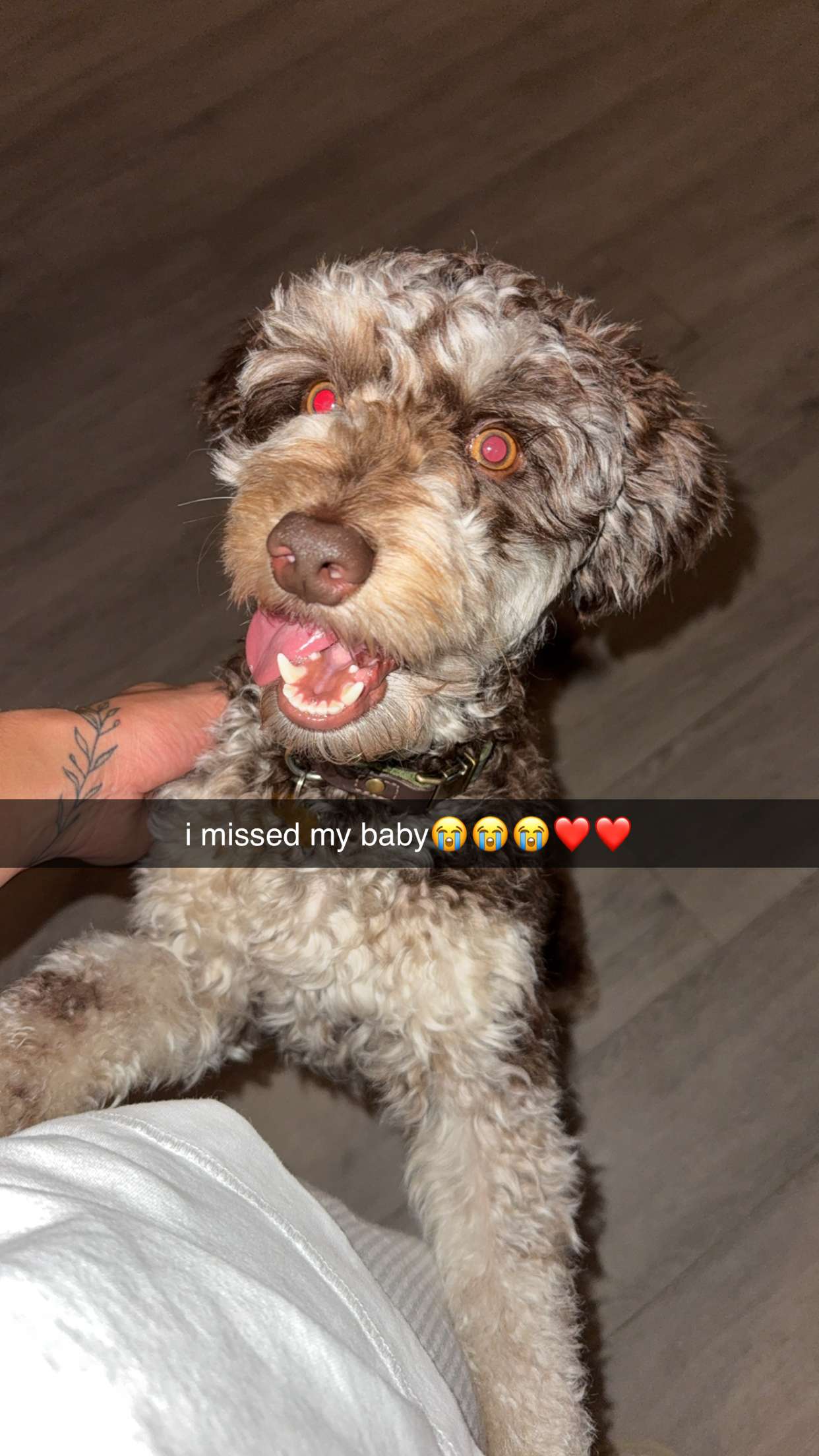 abigailwhhitee snapchat image archive image