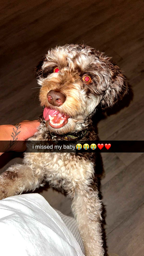 abigailwhhitee image ~ Altpins