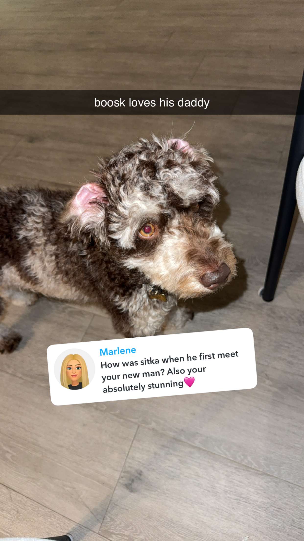 abigailwhhitee snapchat image archive image