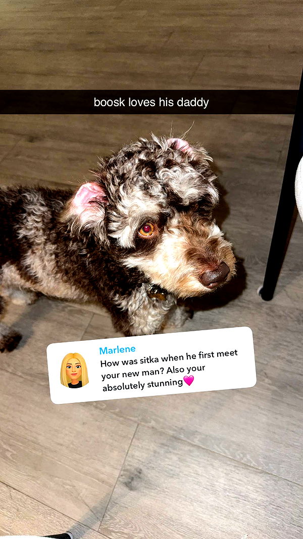 abigailwhhitee image ~ Altpins