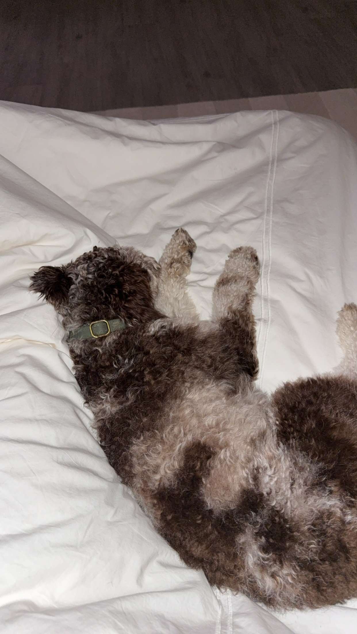 abigailwhhitee snapchat image archive image