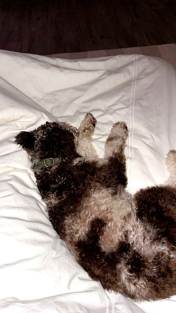 abigailwhhitee image ~ Altpins