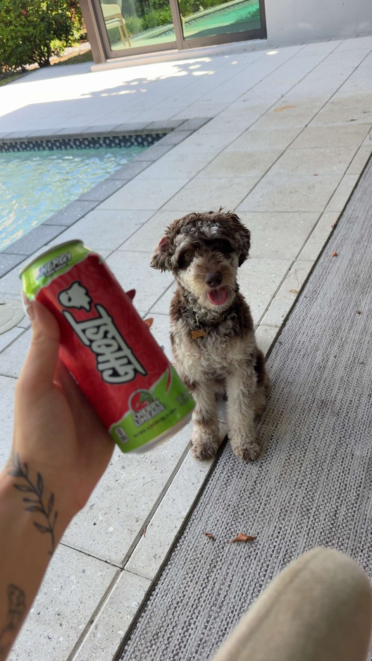 abigailwhhitee snapchat image archive image