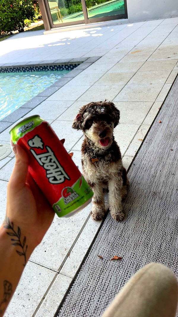 abigailwhhitee image ~ Altpins