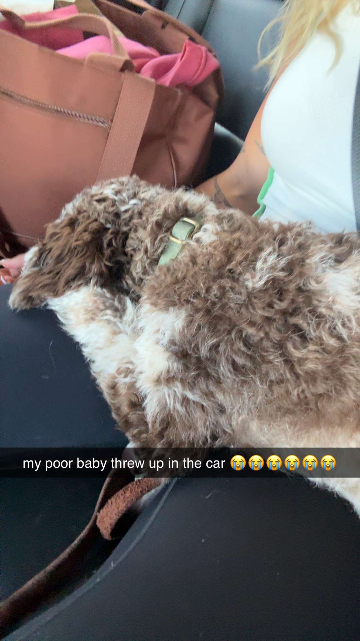 abigailwhhitee snapchat image archive image