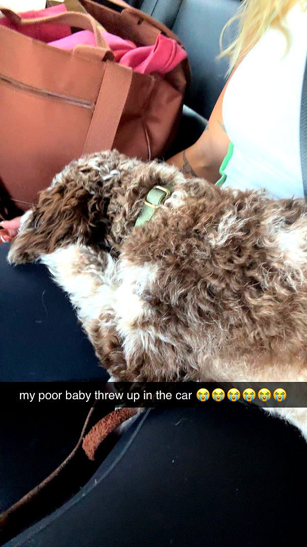 abigailwhhitee image ~ Altpins