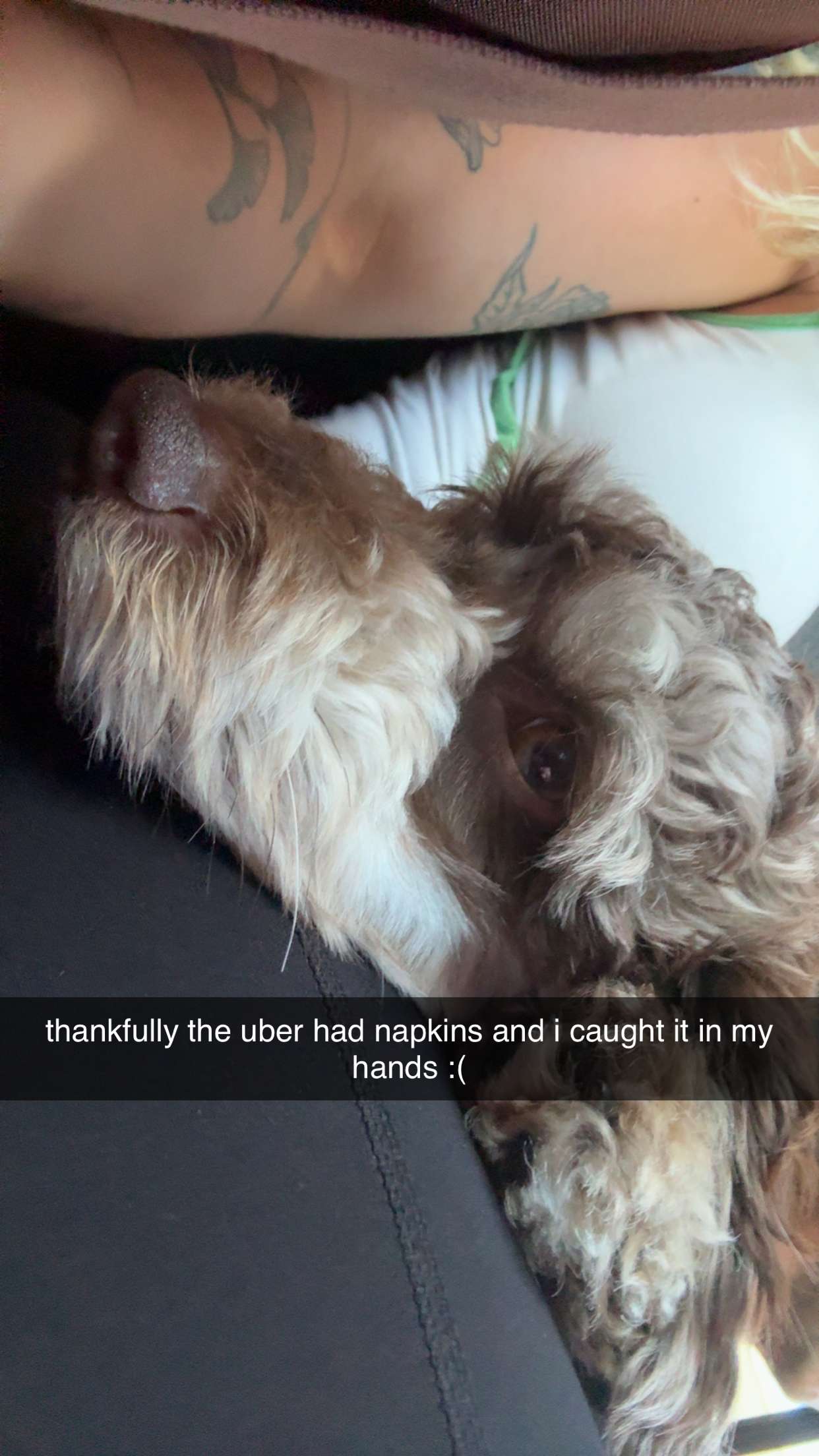 abigailwhhitee snapchat image archive image