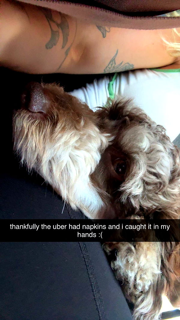 abigailwhhitee image ~ Altpins