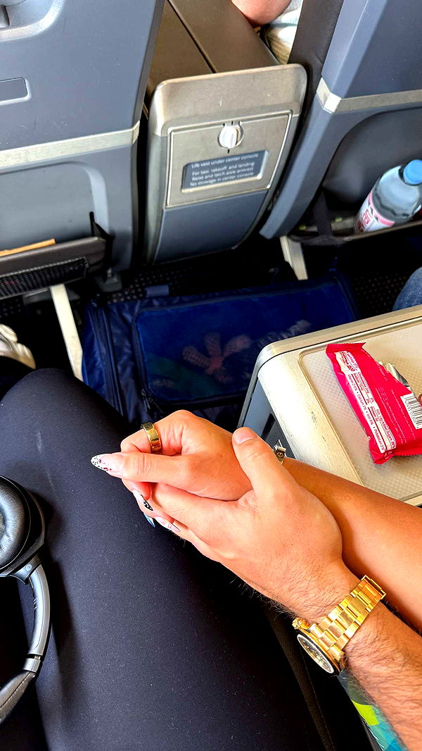 abigailwhhitee image ~ Altpins