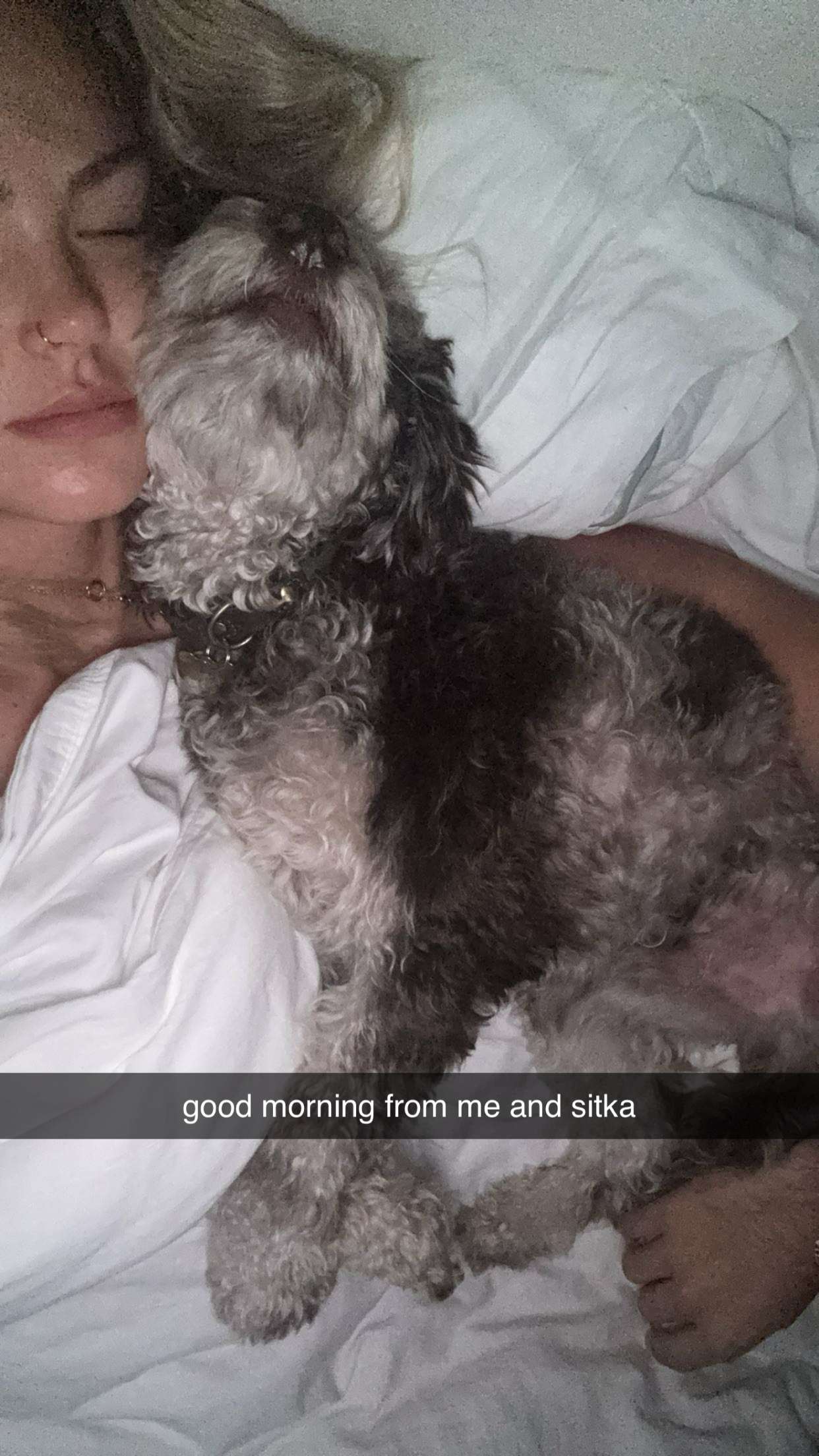 abigailwhhitee snapchat image archive image