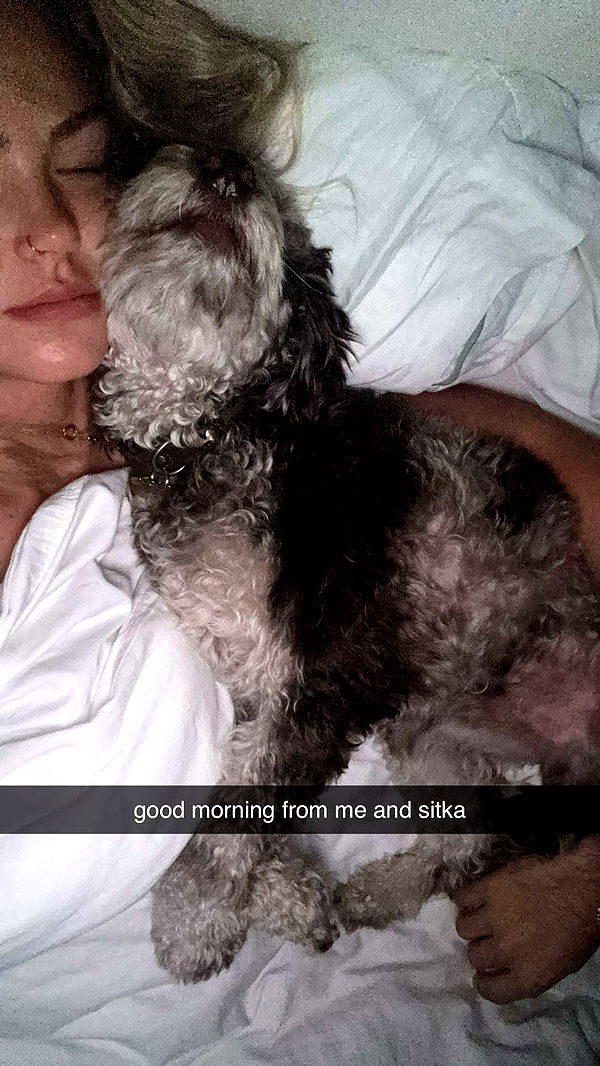 abigailwhhitee image ~ Altpins