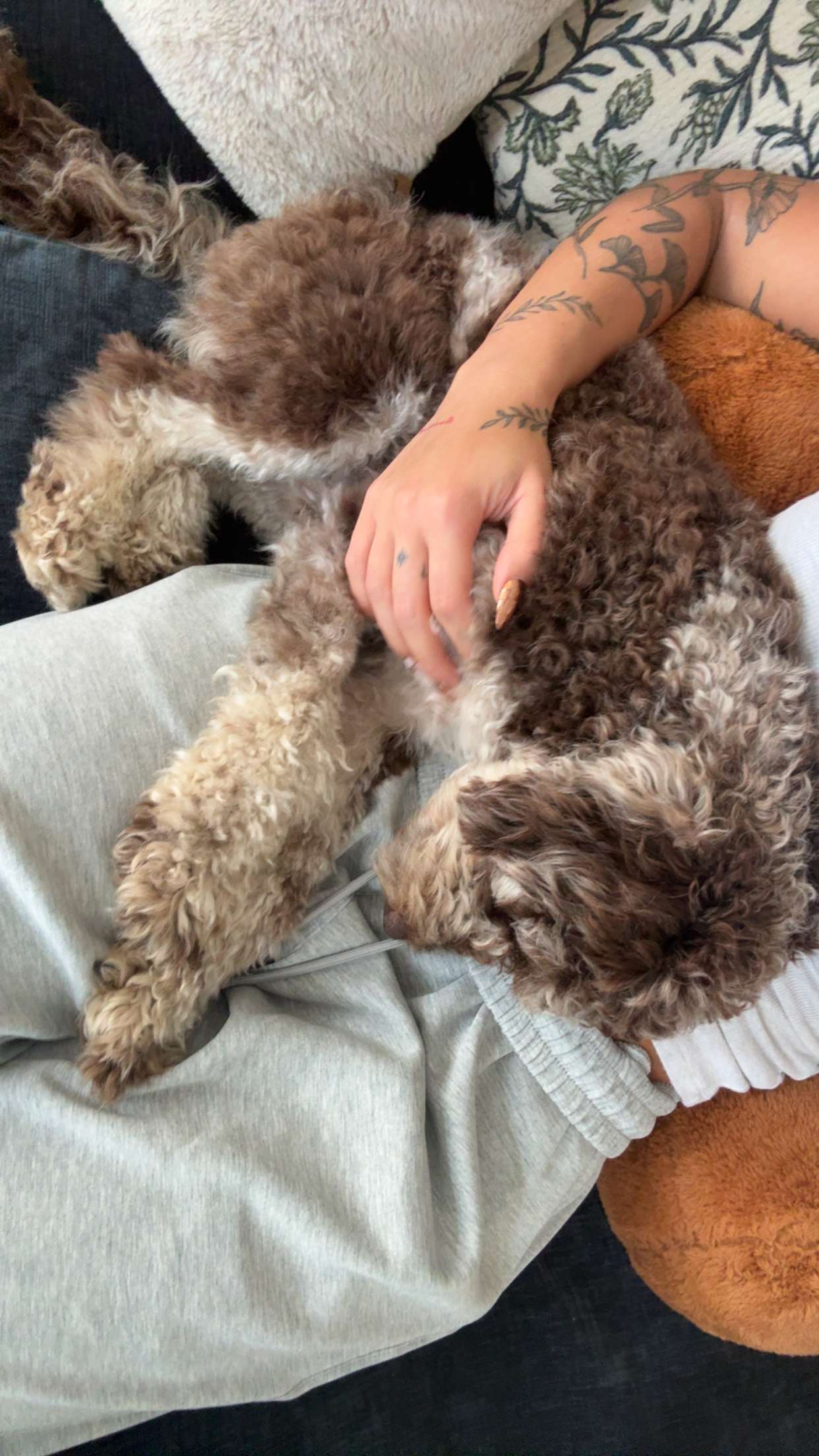 abigailwhhitee snapchat image archive image