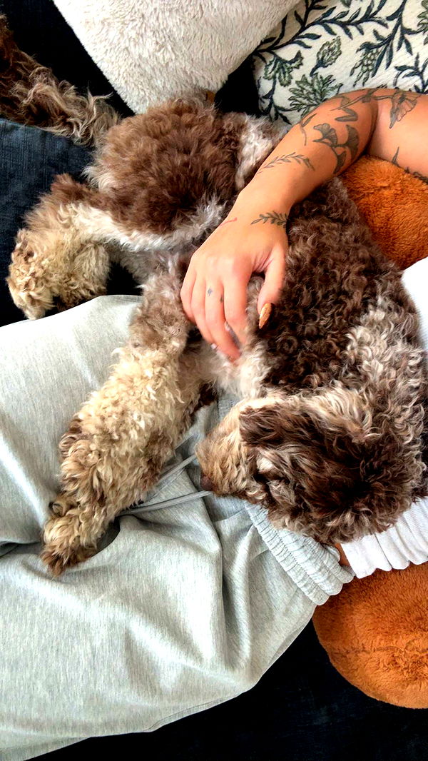 abigailwhhitee image ~ Altpins