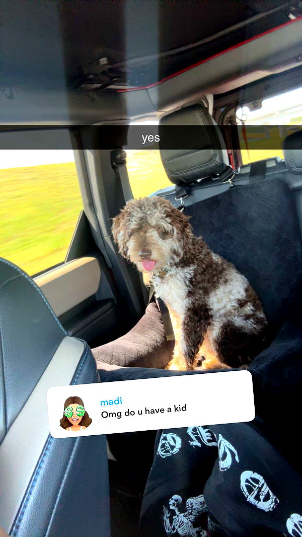 abigailwhhitee image ~ Altpins