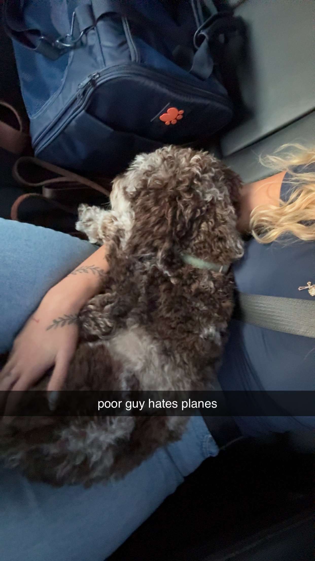 abigailwhhitee snapchat image archive image