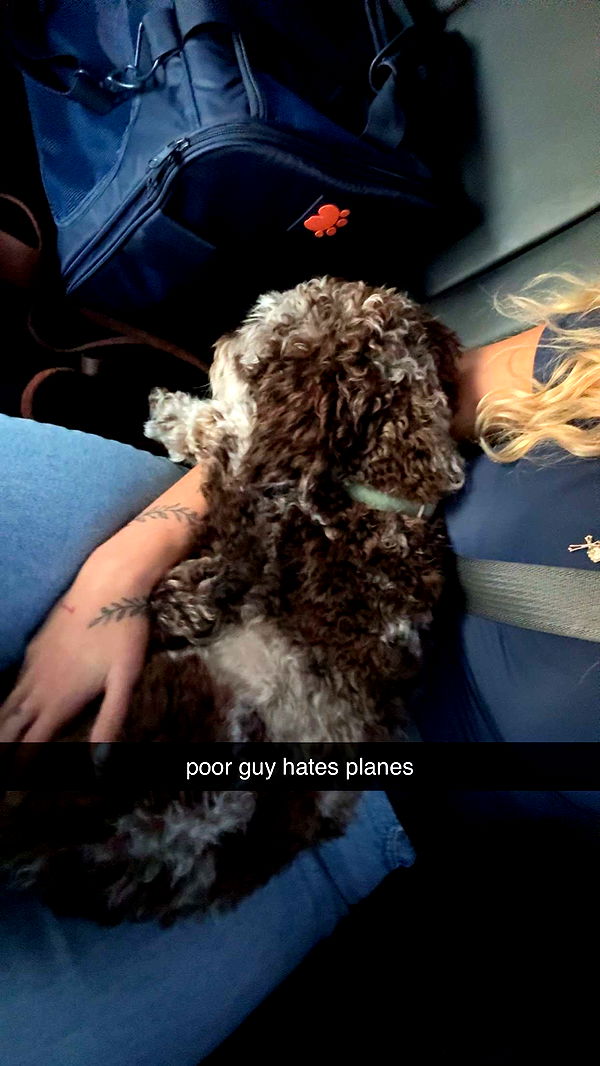 abigailwhhitee image ~ Altpins