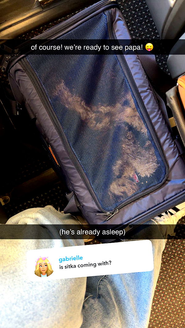 abigailwhhitee image ~ Altpins