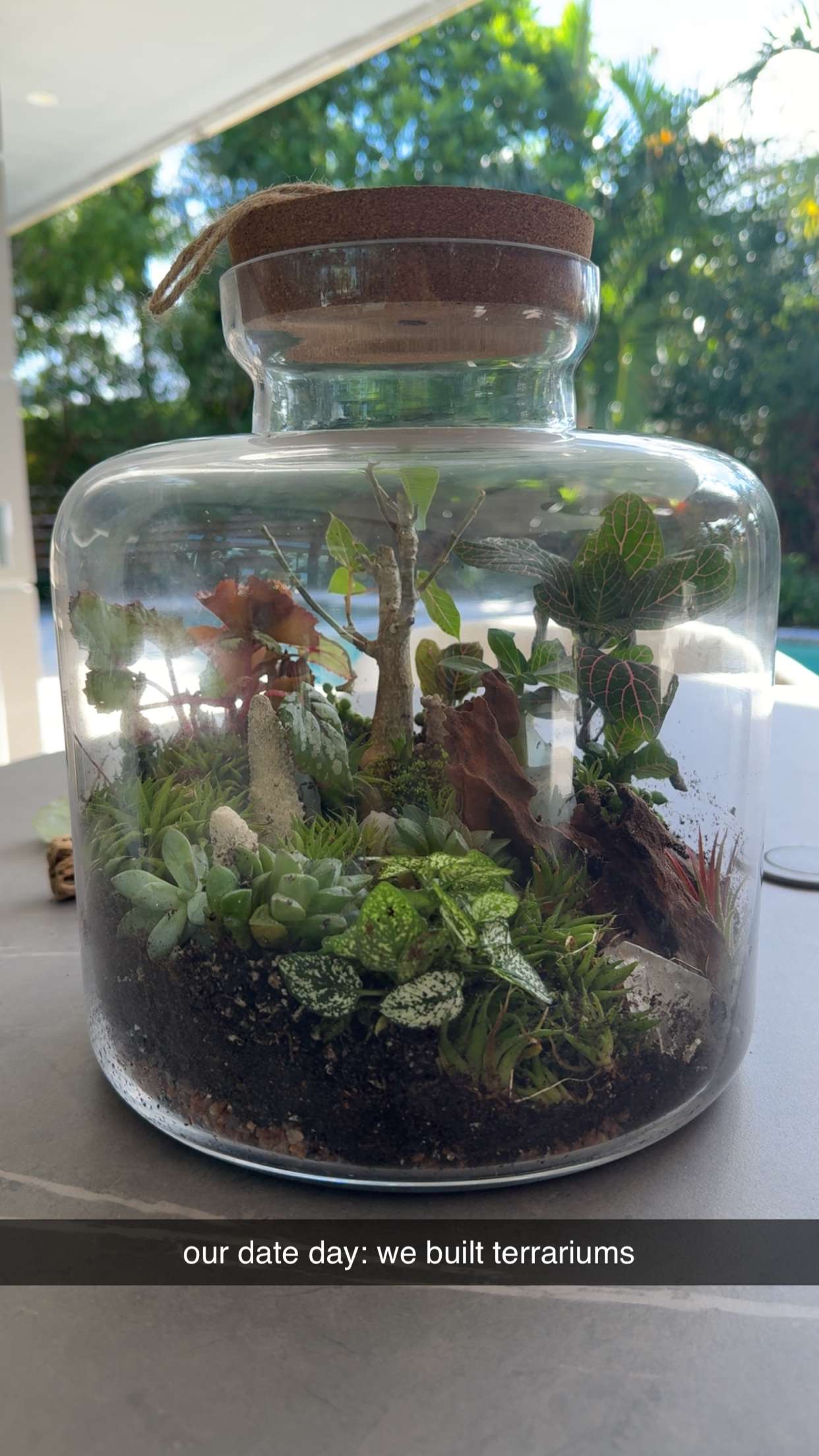 abigailwhhitee snapchat image archive image