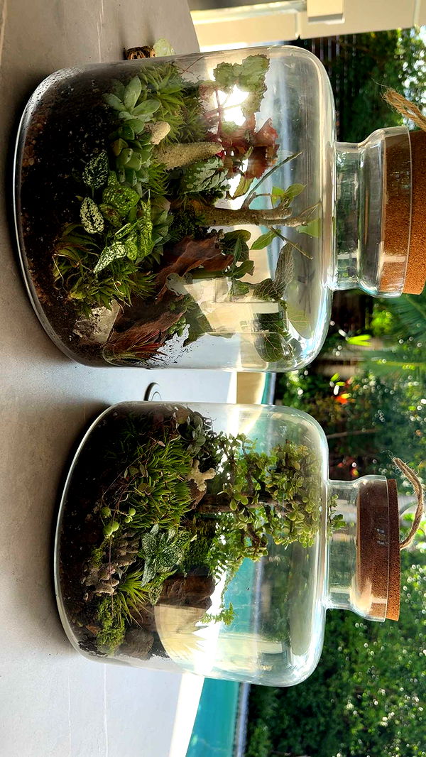 abigailwhhitee image ~ Altpins